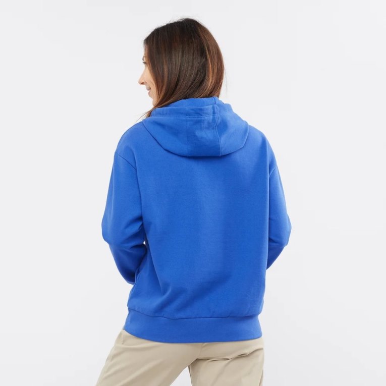 Blue Salomon Outlife Logo Summer Women's Sweatshirt | IE YQ2518